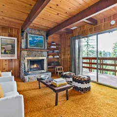 The wood-burning fireplace at Skyforest Getaway