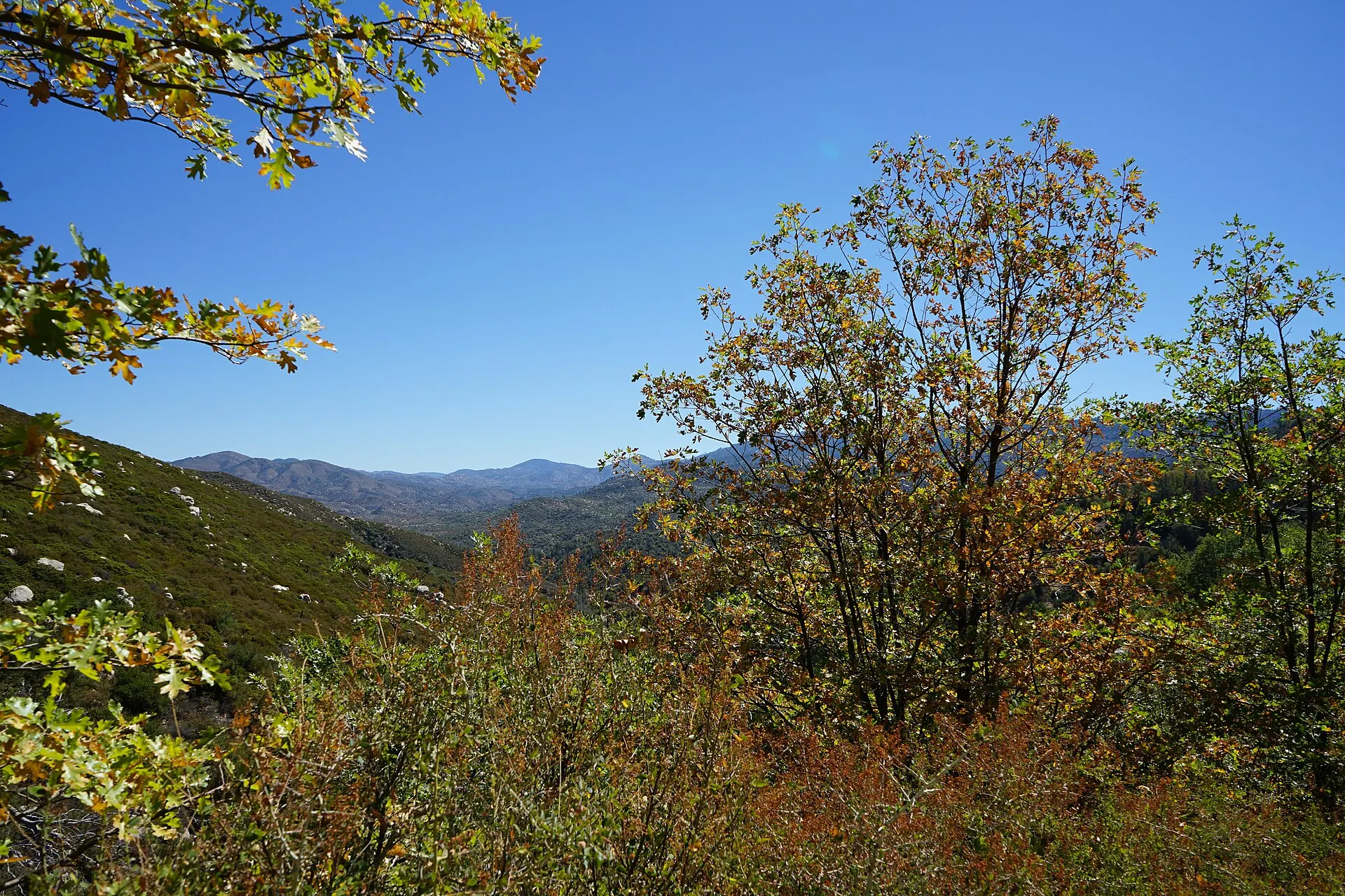 North Shore National Recreation Trail in Lake Arrowhead forest