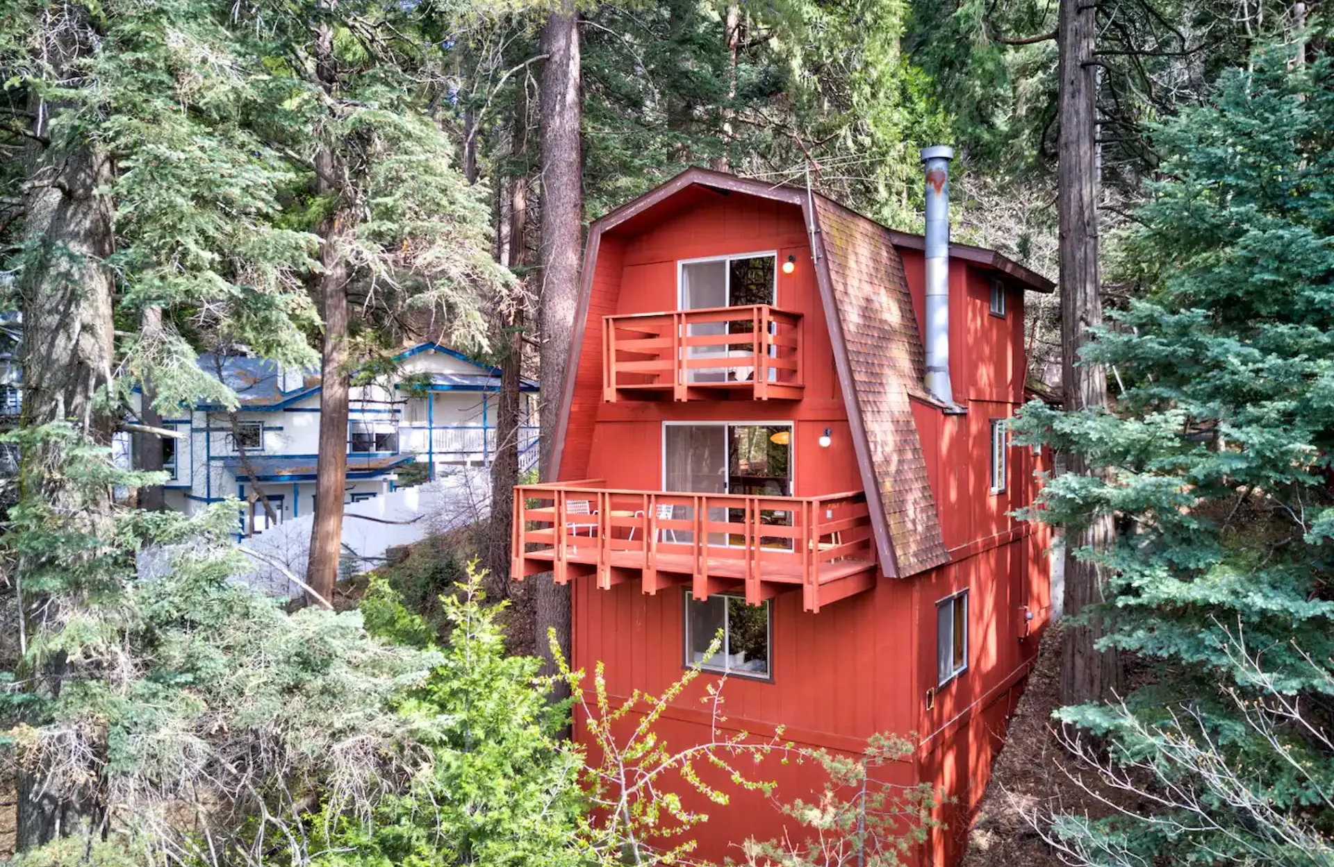 Sky Forest Getaway cabin surrounded by pine trees